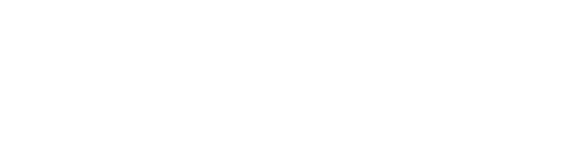 Sponsor