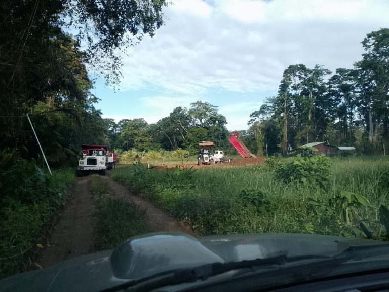 Ambientalista denuncia intento de rellenar humedal en Playa Negra, Puerto Viejo