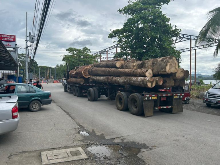 Tribunal anula parcialmente resolución que rechazó medidas cautelares en caso Gandoca-Manzanillo