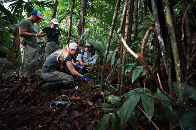 Primera empresa extranjera recibe certificado por cumplir el Protocolo de Nagoya en Costa Rica