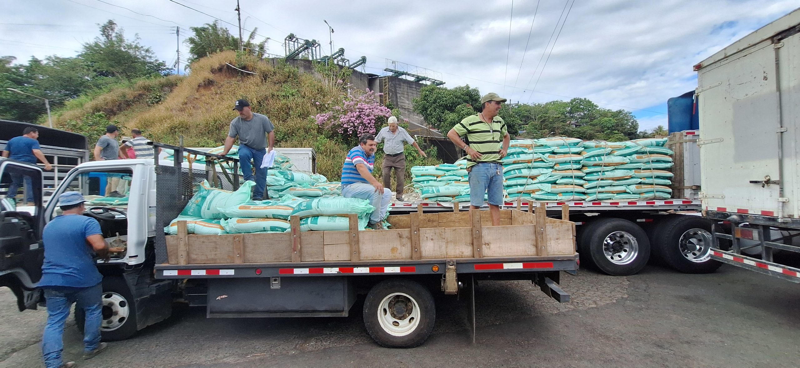 Imagen principal del artículo: Productores cafetaleros de Palmares, San Ramón y Naranjo recibieron insumos por parte del INDER