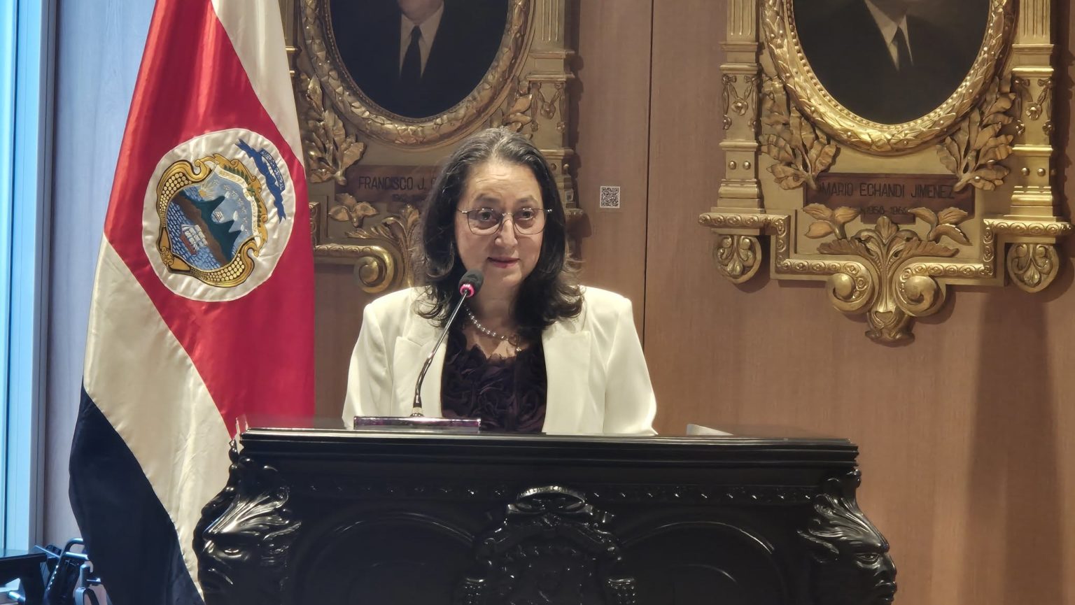 Imagen principal del artículo: Diputada del PPSD propone que órganos colegiados de instituciones públicas deban cumplir con la paridad de género
