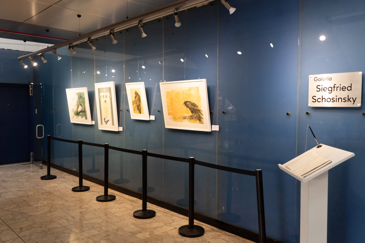 Imagen principal del artículo: Galería del BCR presenta exposición “En Tránsito” de Ana Elena Fernández