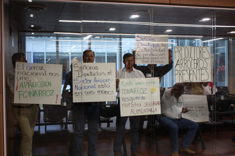 Conarroz urge aprobación del proyecto de ley para crear el Fondo de Competitividad y Auxilio Arrocero