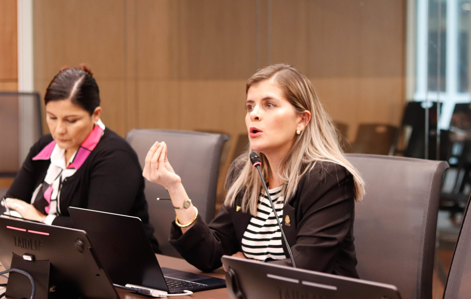 Imagen principal del artículo: Sin decencia, no hay democracia