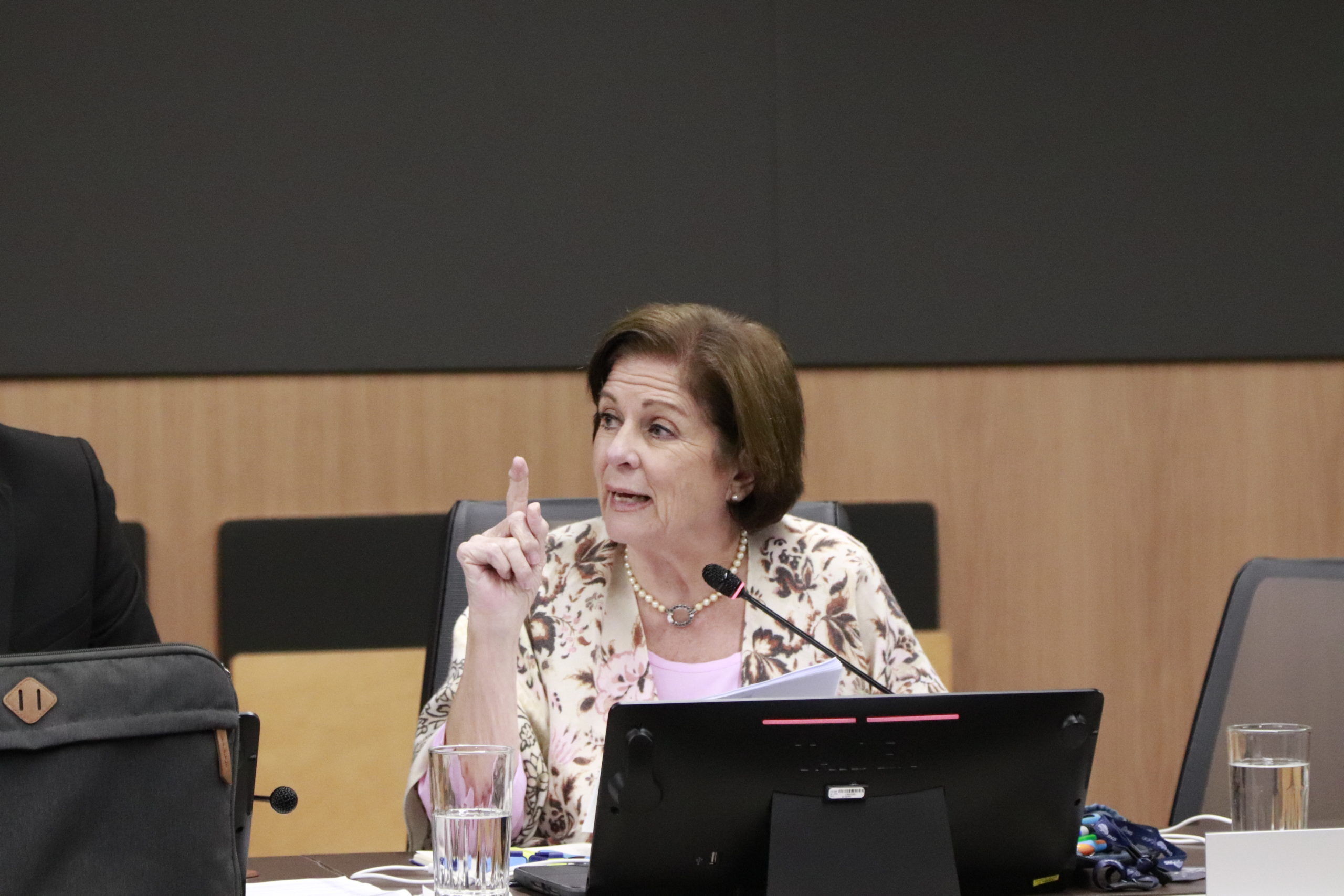 Imagen principal del artículo: Cisneros se prepara para bloquear el plenario