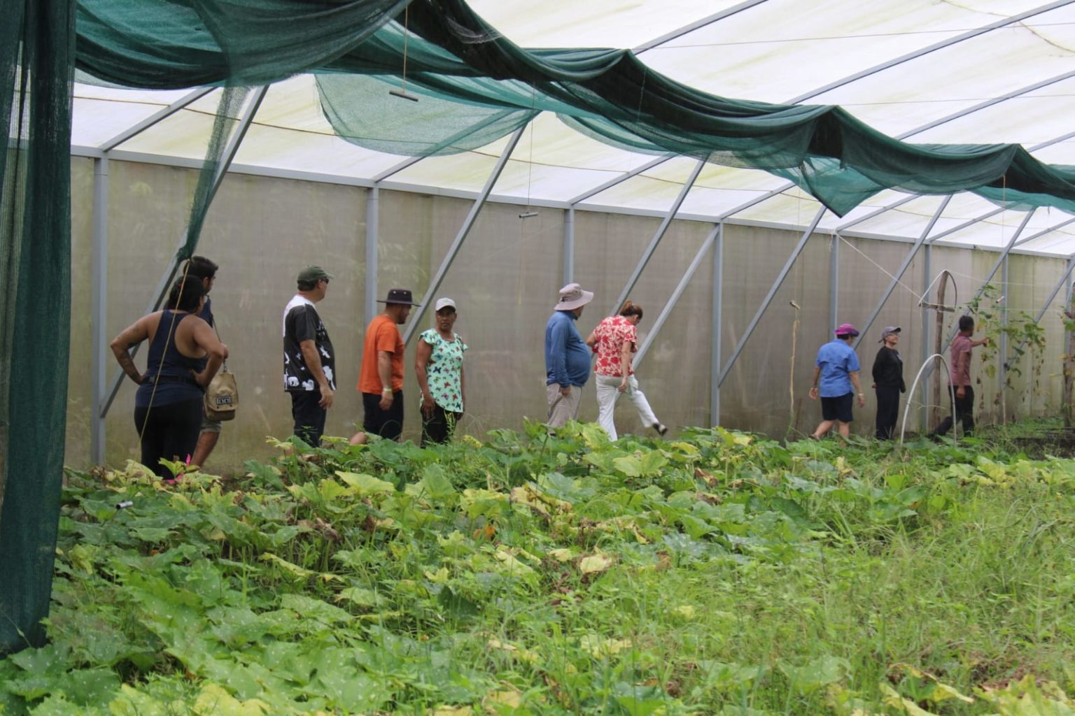Imagen principal del artículo: UNA y comunidad de Isla Venado desarrollan programas de autosuficiencia alimentaria ante efectos del cambio climático