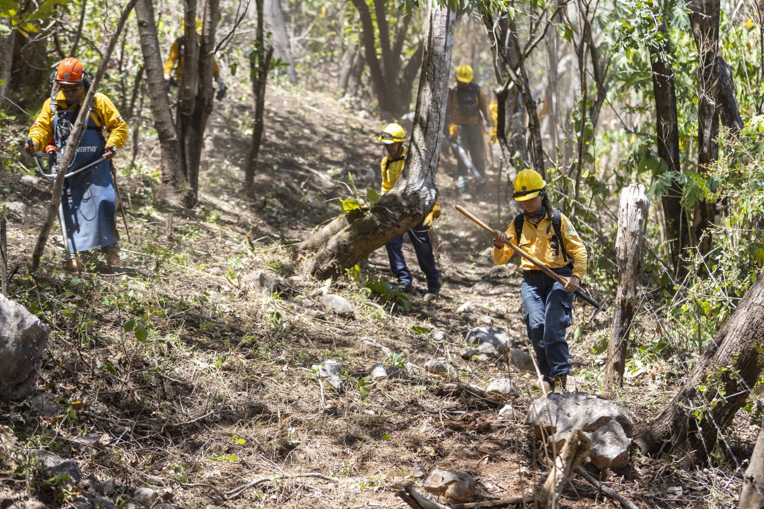 Imagen principal del artículo: Equipos voluntarios realizaron rondas cortafuegos en Parque Nacional Barra Honda