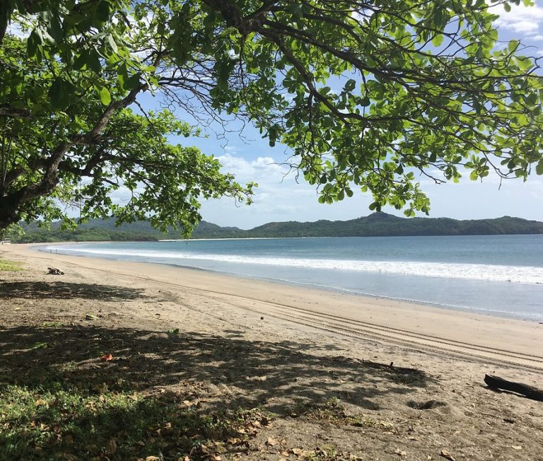 Minae aclara que proyecto en playa Brasilito no cuenta con permisos para talar árboles