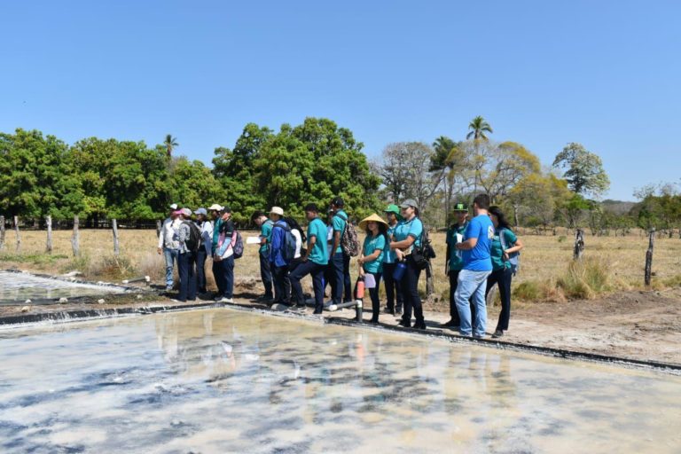 Colorado de Abangares será sede del Festival Nacional de la Piangua del 21 al 23 de marzo