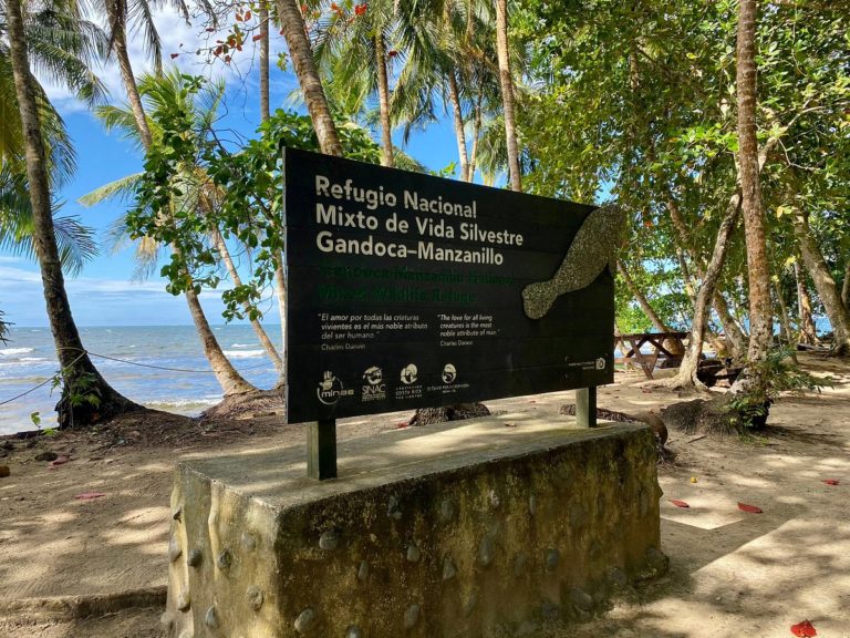 Minae reconoce 107 hectáreas de bosque en zona desprotegida del Refugio Gandoca-Manzanillo desde 2014