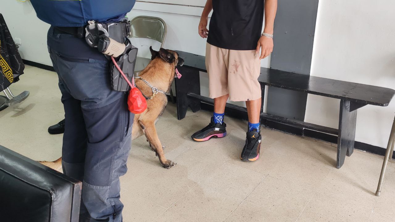 Imagen principal del artículo: Policía municipal de Cartago interviene centros educativos con unidad canina especializada en búsqueda de droga