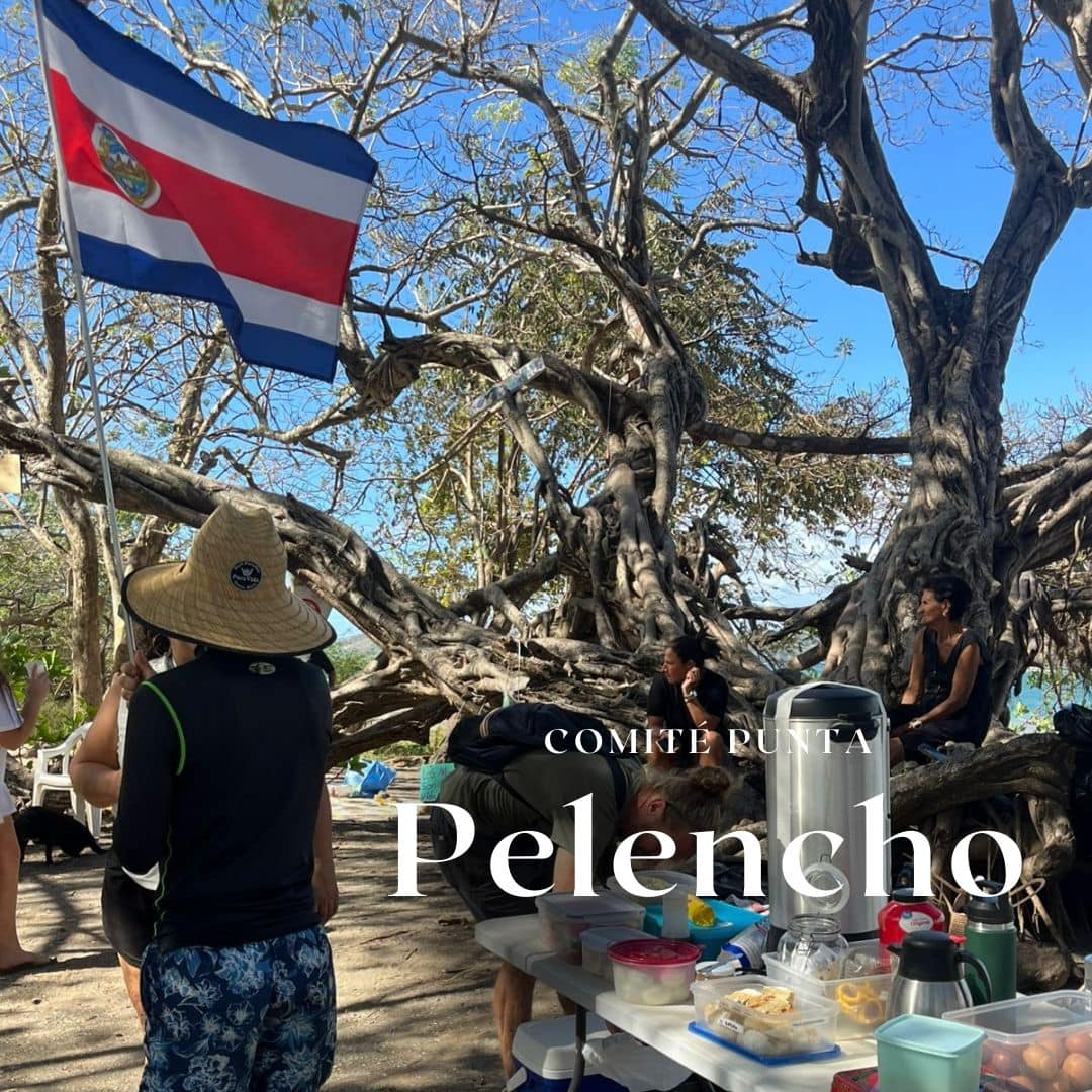 Imagen principal del artículo: Brasilito defiende el nombre, el acceso público y el patrimonio ambiental de su playa