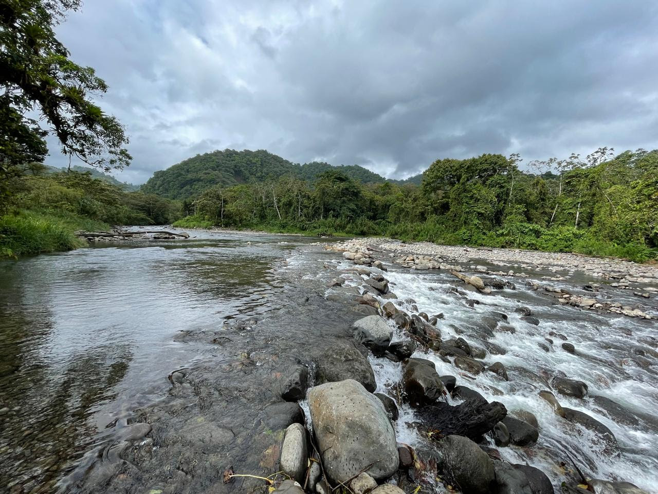 Imagen principal del artículo: Nuevo puente sobre el río Caño Negro impulsará el turismo y el desarrollo en la región norte de Costa Rica