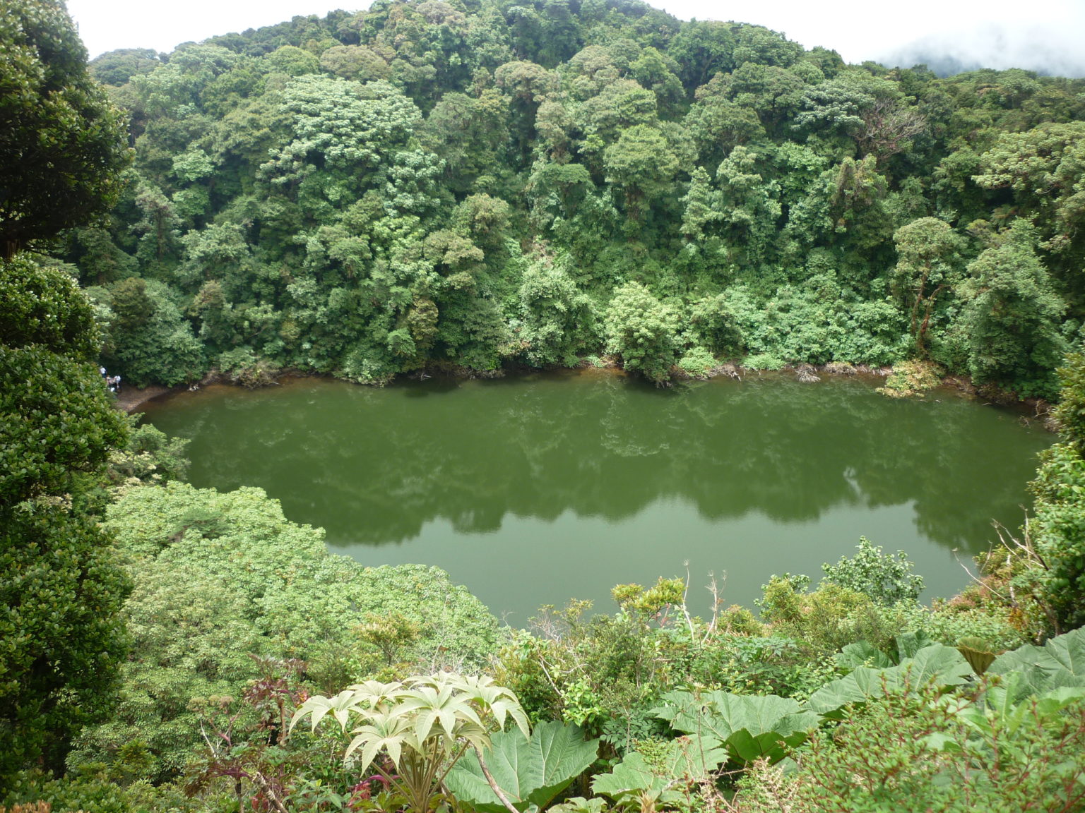 Imagen principal del artículo: Sector Volcán Barva habilitado nuevamente para visitantes