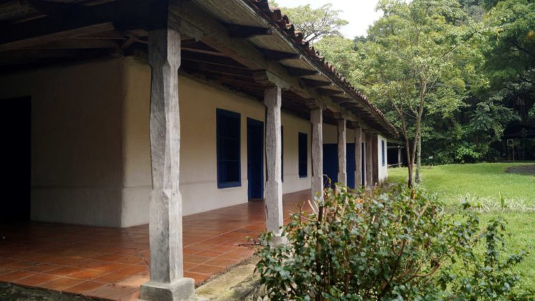 Sala IV ordena mantenimiento inmediato del Parque Lorne Ross