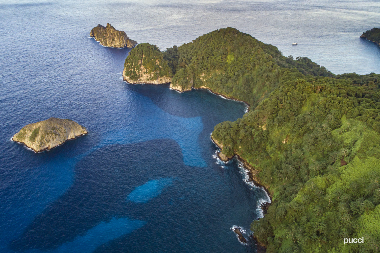 Imagen principal del artículo: Hacia la equidad de género en conservación marina: Los esfuerzos del Área de Conservación Marina Coco