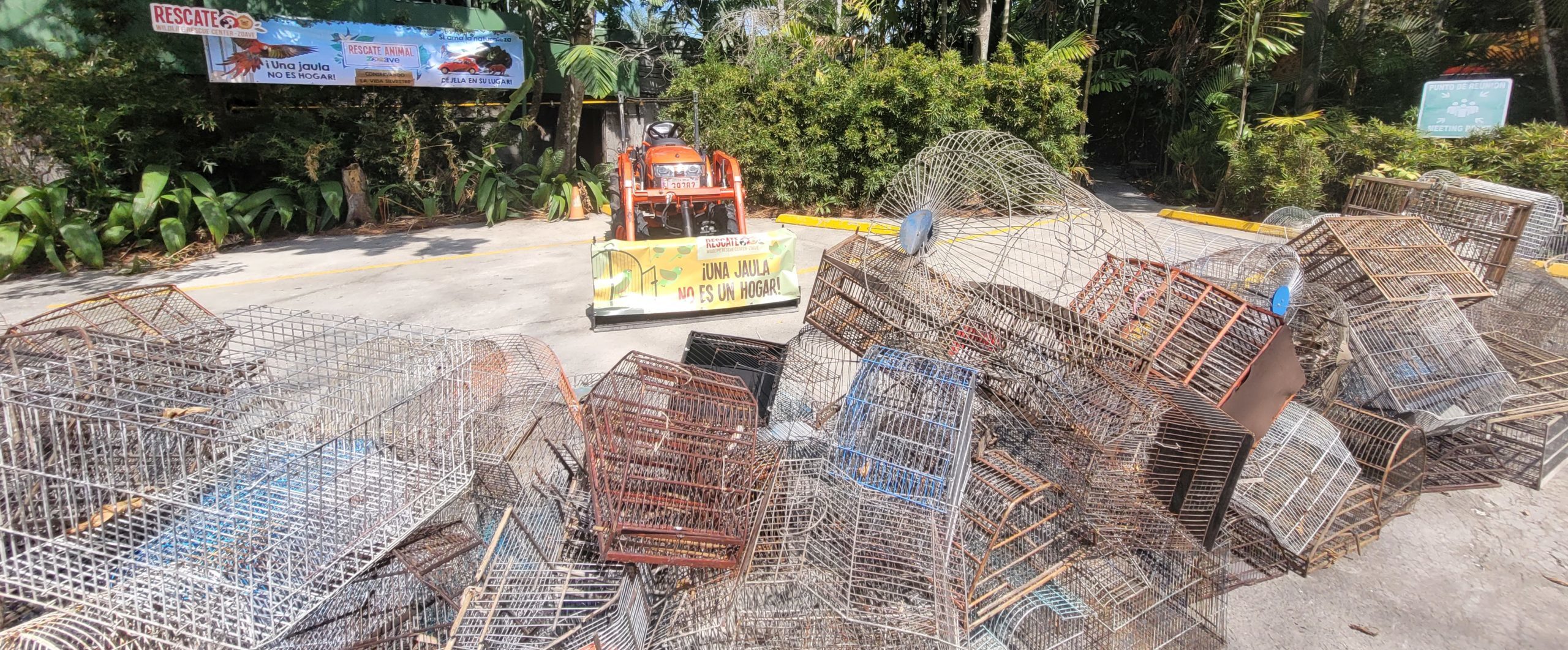 Imagen principal del artículo: Rescate Wildlife Zoave realizará este sábado aplastamiento de jaulas en defensa de las aves silvestres