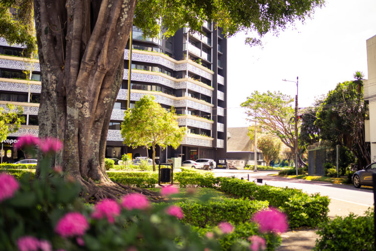 Barrio Escalante se transforma en escenario gastronómico de la época de Cervantes