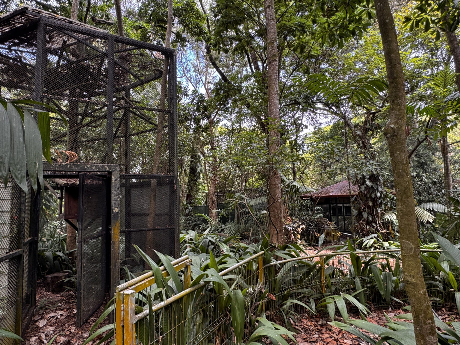 Imagen principal del artículo: De zoológico a museo al aire libre: Instituciones inician proceso de rehabilitación en el Simón Bolívar