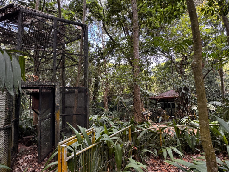 De zoológico a museo al aire libre: Instituciones inician proceso de rehabilitación en el Simón Bolívar 