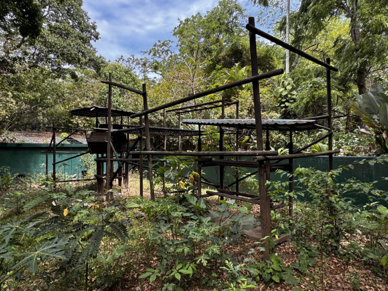 Canaeco invita a jornada de voluntariado en el Parque Natural Urbano Simón Bolívar el próximo 20 de junio