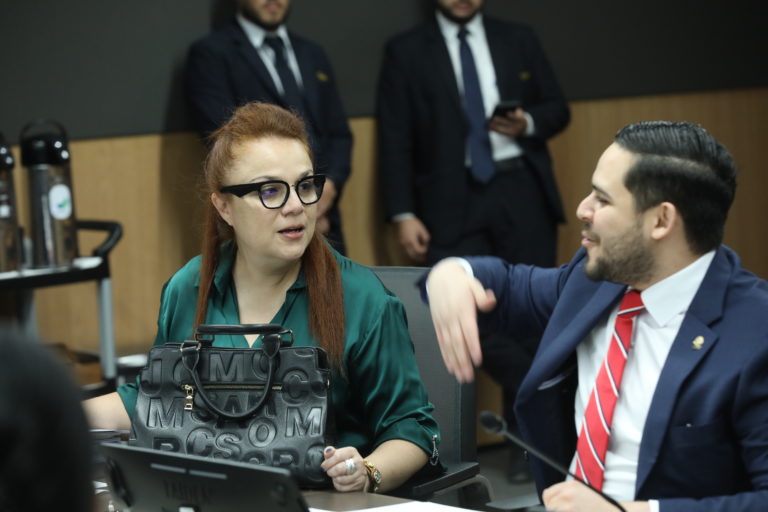 Diputada del PLN propone que Dirección Nacional de Ciberseguridad pase del Micitt a ser un órgano adscrito a la Sutel