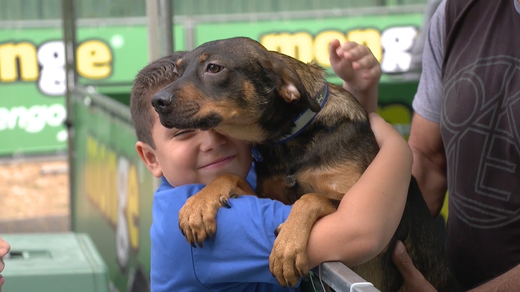 Imagen principal del artículo: Feria de adopción de mascotas este fin de semana en Monge