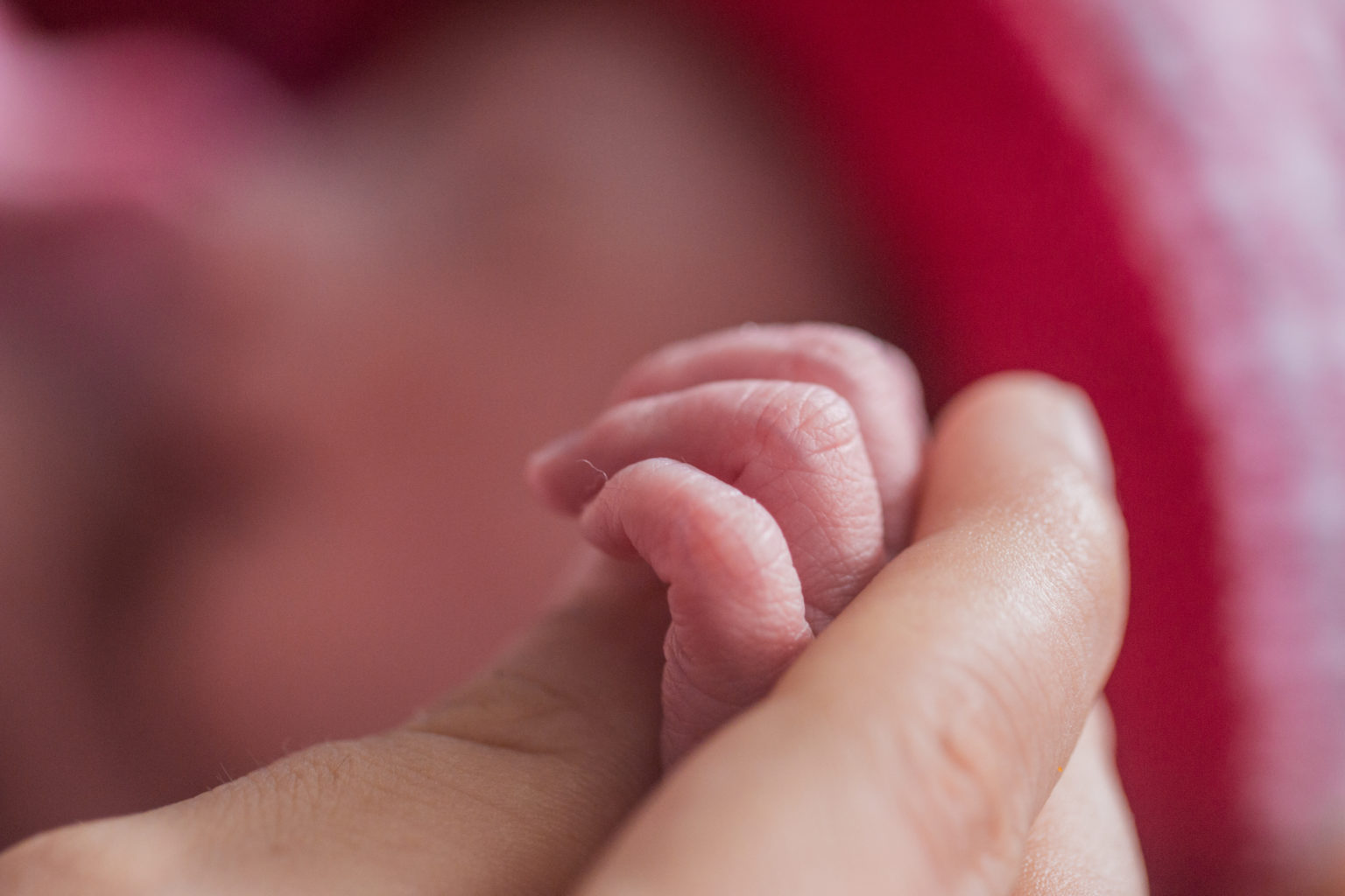 Imagen principal del artículo: Día Mundial de la Salud 2025: “Comienzos saludables, futuros esperanzadores”