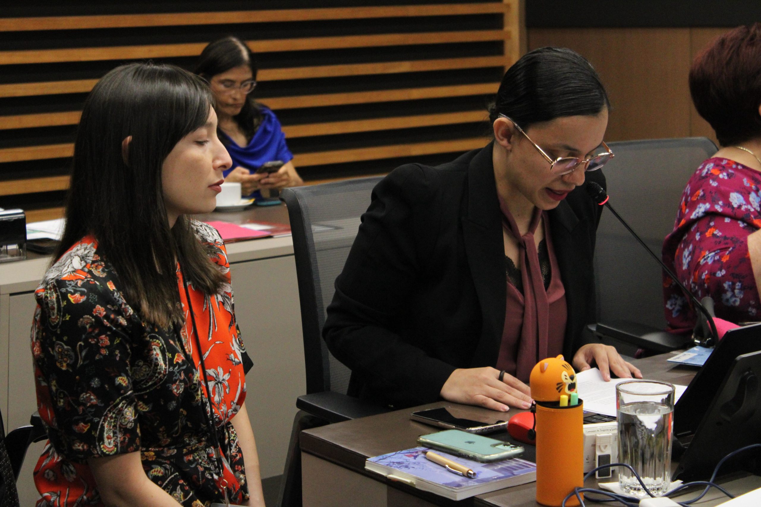 Imagen principal del artículo: Comisión legislativa acuerda investigar despidos en el INS