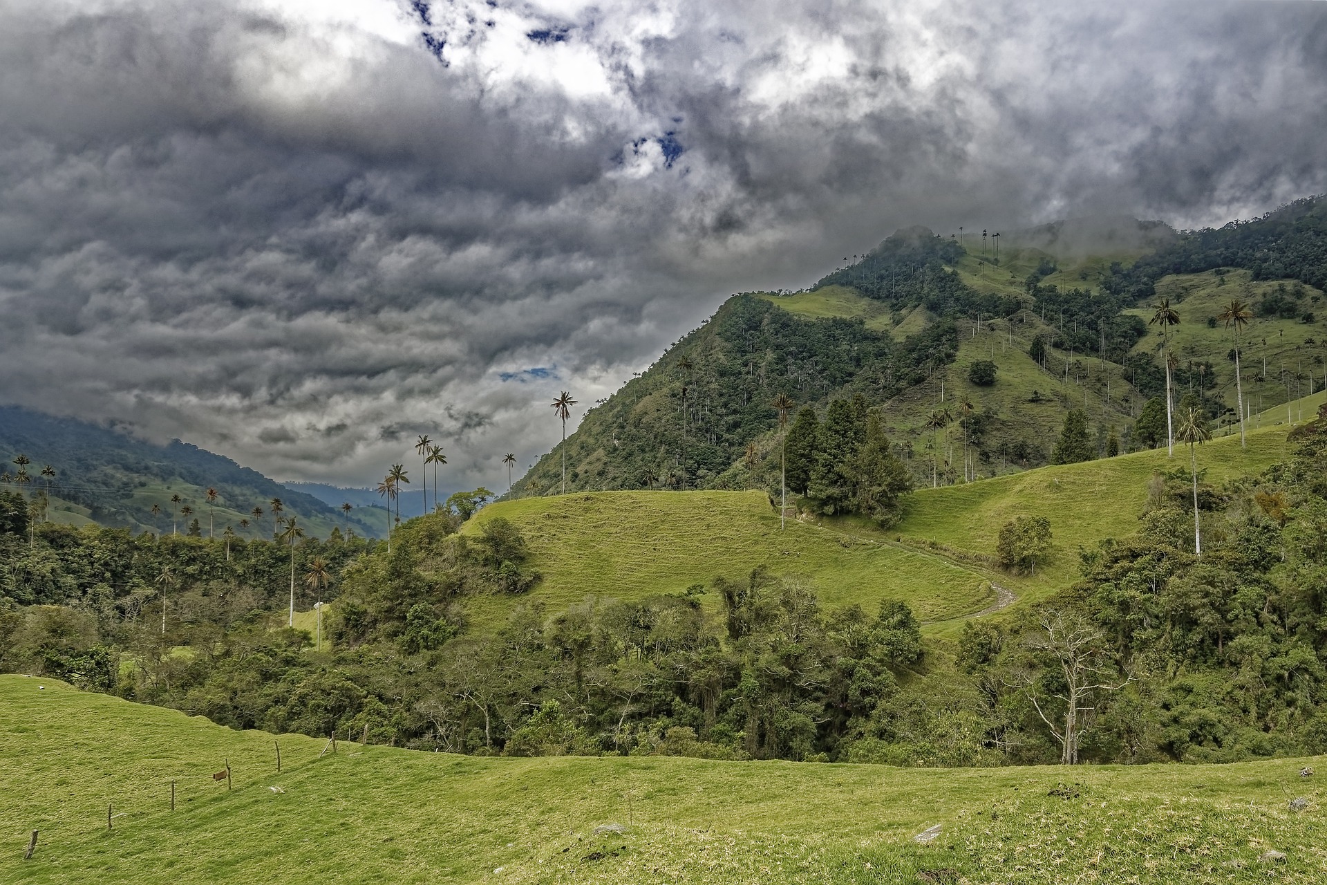 Imagen principal del artículo: Los planes ambientales, forestales y territoriales (PAFT): una ruta para la distribución de beneficios por financiamiento climático en territorios indígenas en Costa Rica