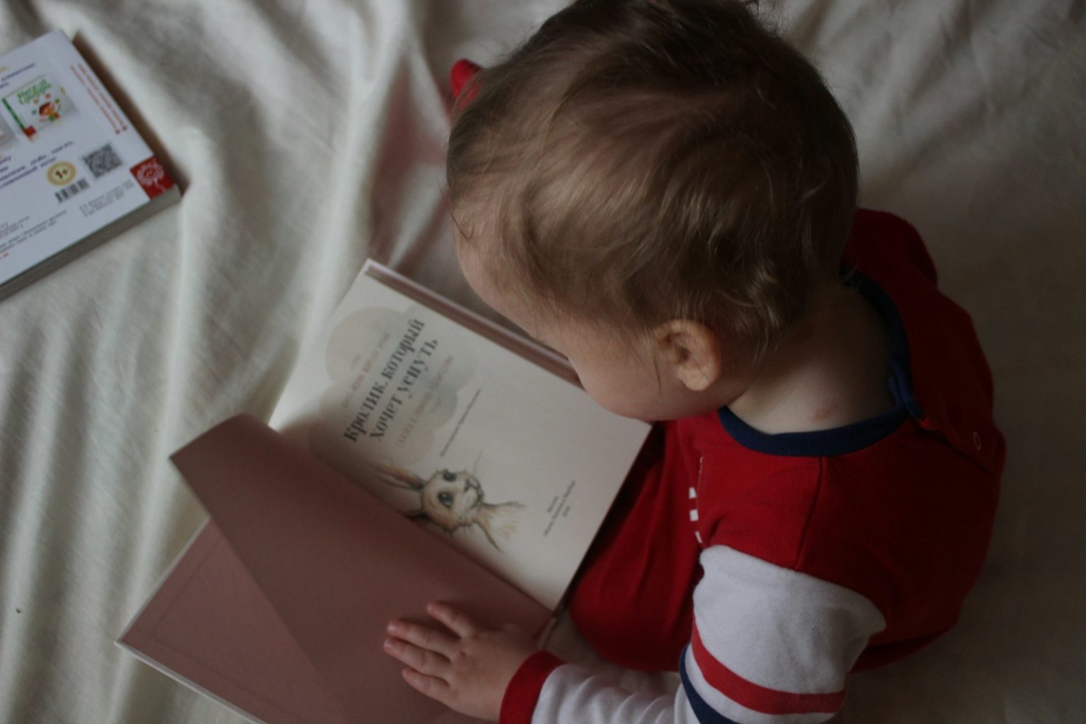 Imagen principal del artículo: Estrategias para fomentar la lectura en niños