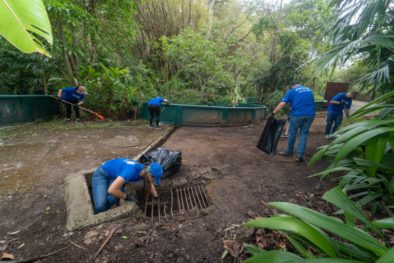 Voluntariado limpia y restaura el Parque Simón Bolívar para su nueva etapa como Parque Natural Urbano