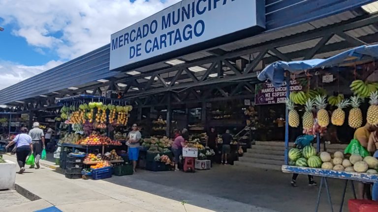 Mercado Municipal de Cartago celebrará su aniversario con el picadillo de papa más grande del país