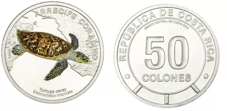 BN venderá moneda coleccionable de 50 colones de Tortuga Carey este 26 de mayo
