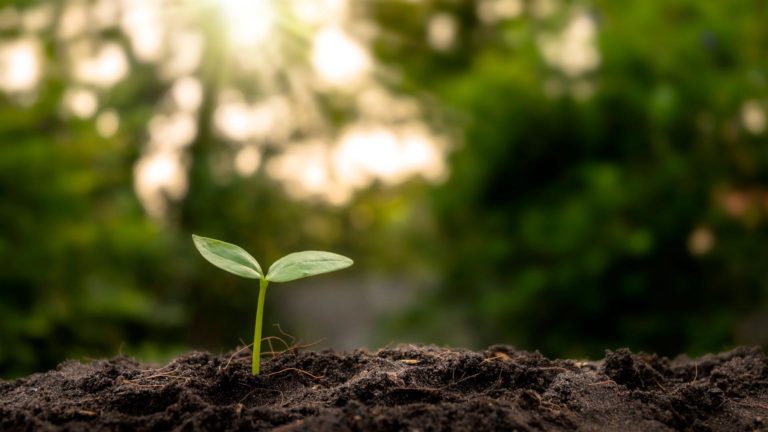 Costa Rica será sede de cumbre regional sobre agronegocios sostenibles