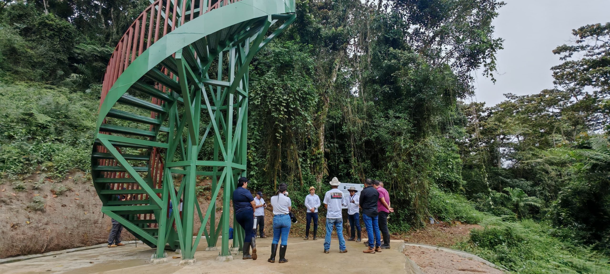 Imagen principal del artículo: Nuevas torres para avistamiento de aves buscan dinamizar el ecoturismo en Coto Brus y Buenos Aires