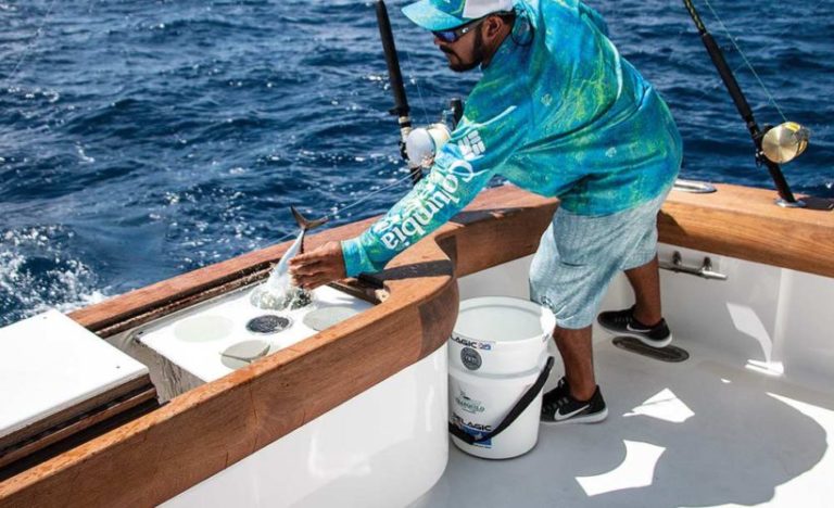 Informe revela retos urgentes de la pesca en Costa Rica: falta de datos, cambio climático y debilidad institucional