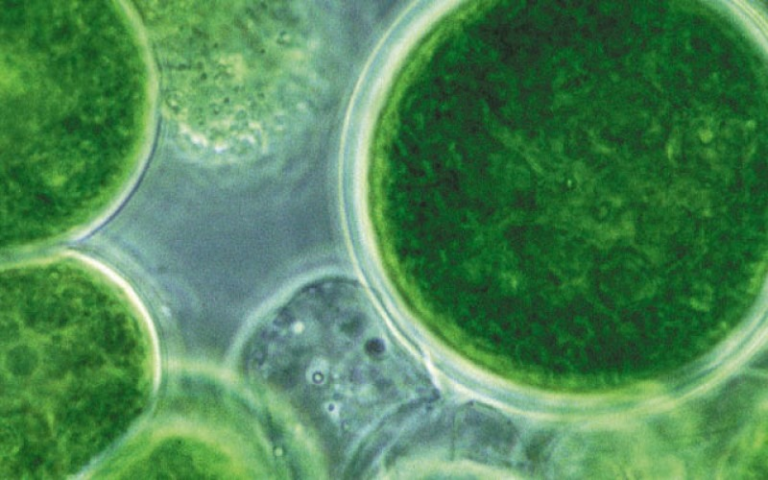 Urgentes reformas al Sistema Bancario Nacional