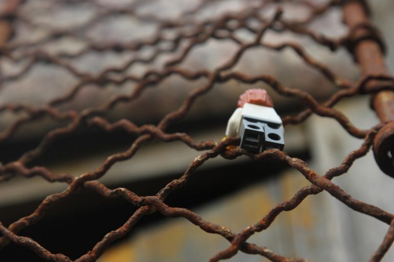 El espejismo de Bukele: cárceles llenas, votos asegurados