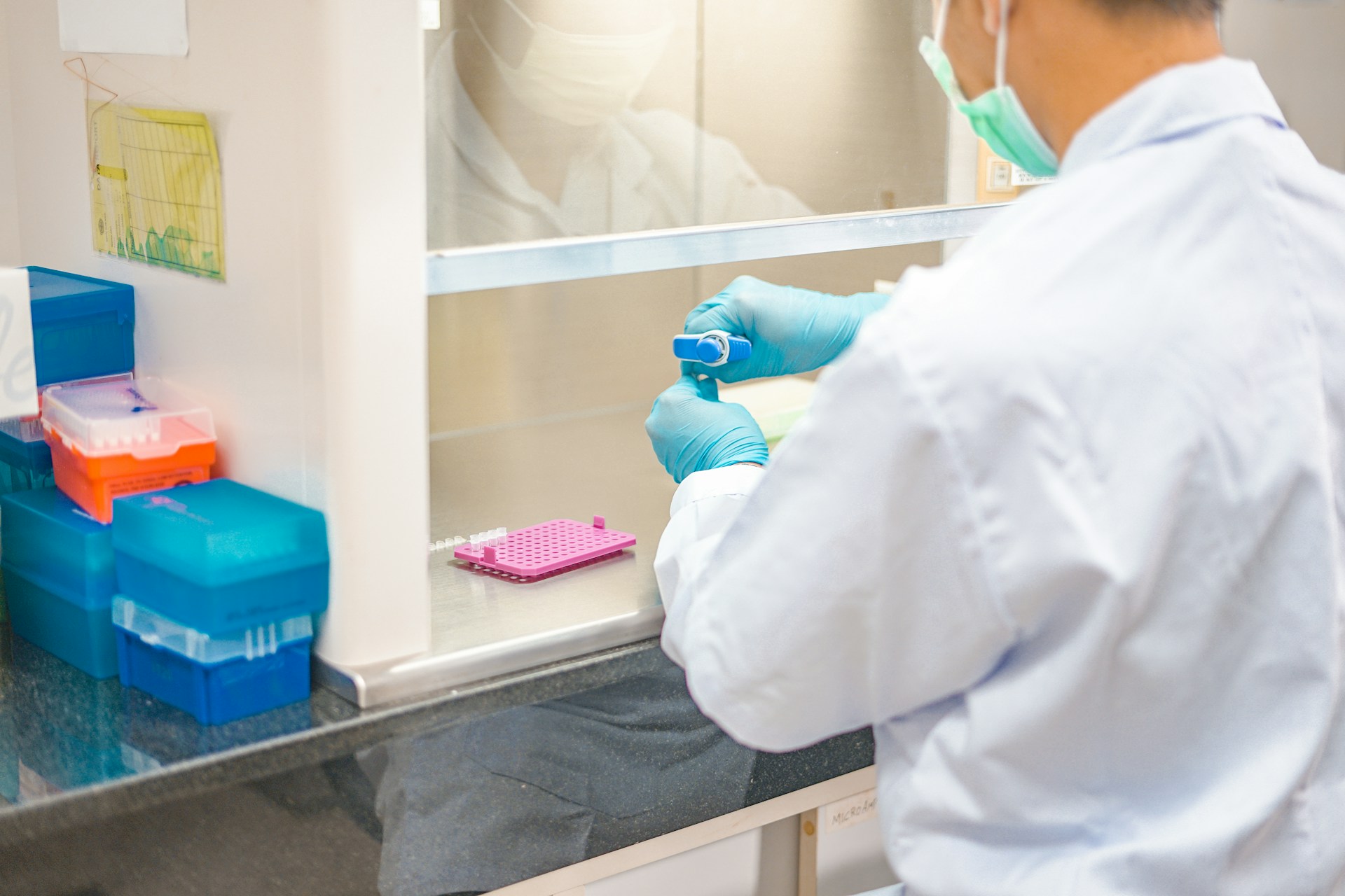 Imagen principal del artículo: Avances diagnósticos en salud digestiva: El impacto del análisis del Microbioma Intestinal