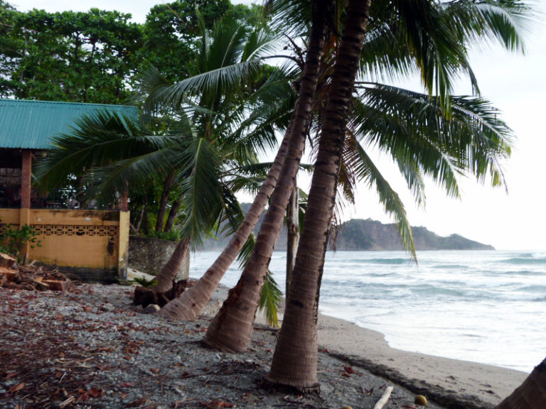 UCR recomienda rechazar proyecto que flexibiliza actividades comerciales en la zona marítimo-terrestre