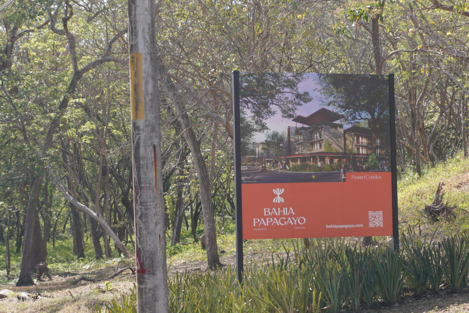 Imagen principal del artículo: Sala IV estudia posibles irregularidades de proyecto habitacional en playa Panamá, en Guanacaste