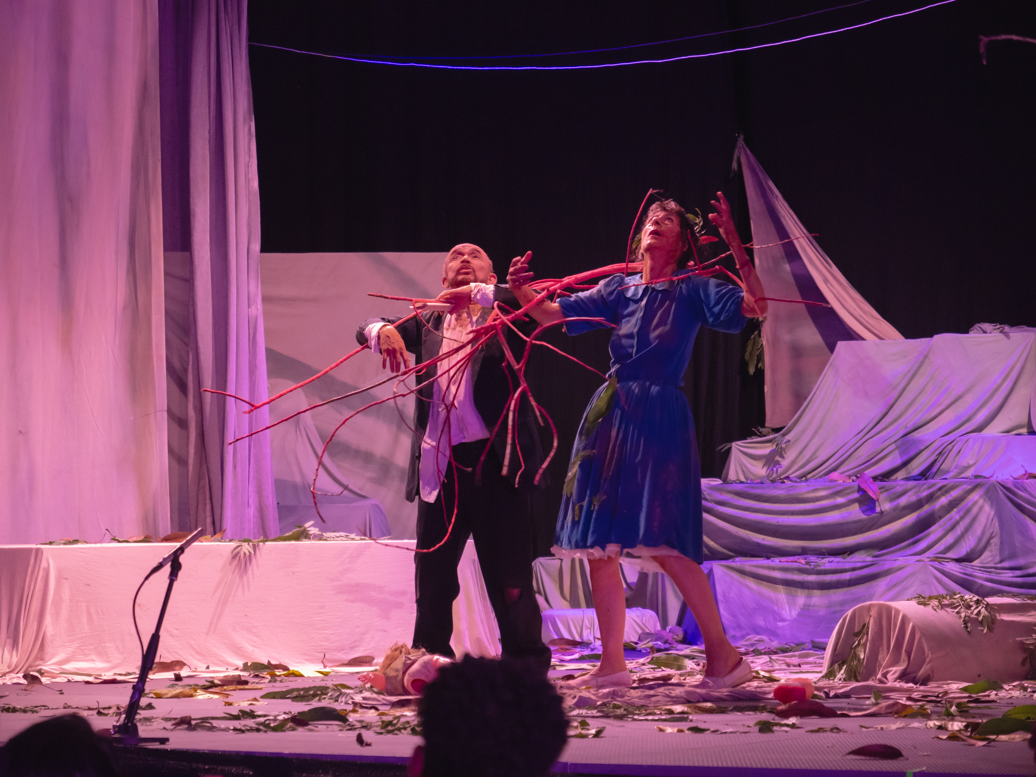 Imagen principal del artículo: Festival Nacional de las Artes 2025 cambia de fecha: se realizará en Limón entre septiembre y octubre