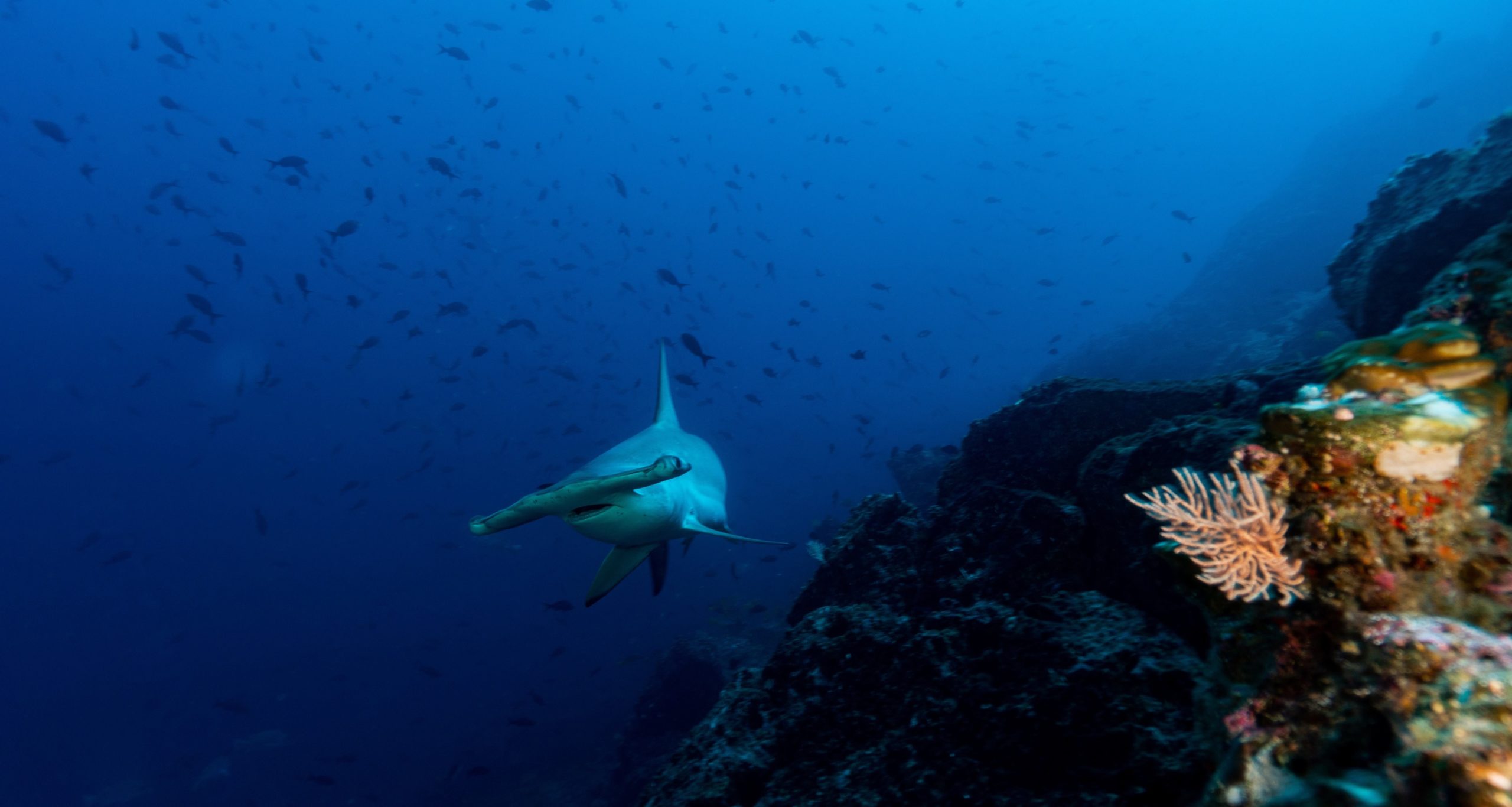 Imagen principal del artículo: CMAR se posiciona como modelo global de gobernanza marina en la III Conferencia sobre el Océano
