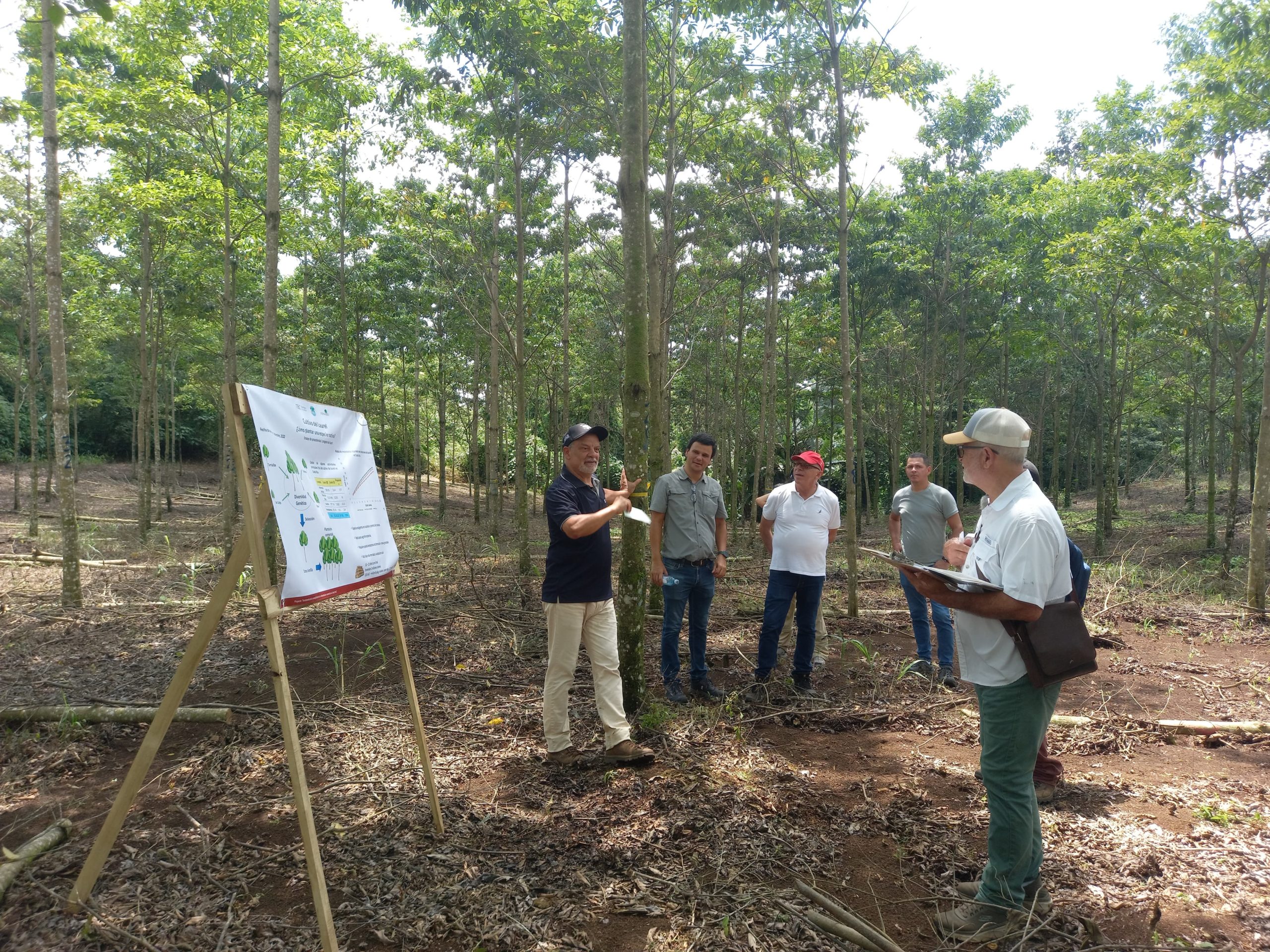 Imagen principal del artículo: Jornada técnica en San Carlos marca cierre de proyecto forestal nacional
