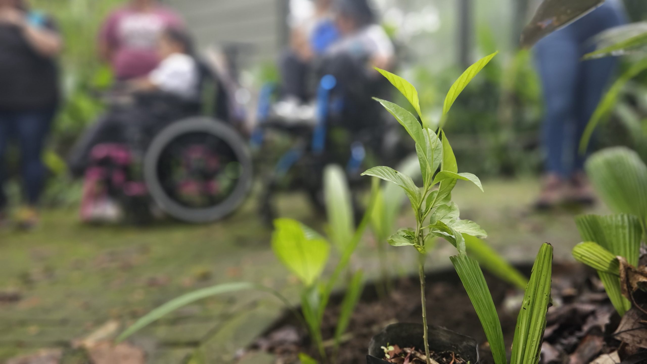 Imagen principal del artículo: Costa Rica celebra el Día Mundial del Ambiente con actividades educativas en parques urbanos