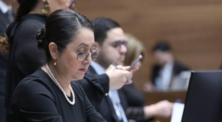 Diputada propone que la licencia de paternidad en el sector privado sea de un mes