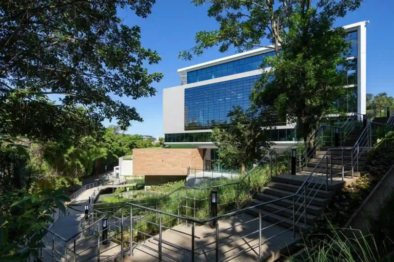 Supén recuerda que retiro del ROP completo en casos de enfermedades terminales o graves no requiere reglamentación