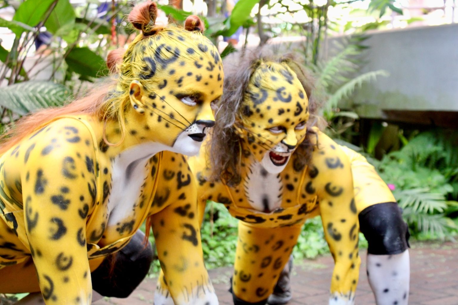 Imagen principal del artículo: Artistas de cuatro países se unen en mensaje contra la violencia hacia las mujeres con el espectáculo “Mujer Jaguar”